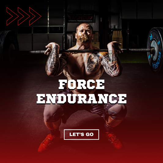 PLAN D'ENTRAÎNEMENT - FORCE / ENDURANCE - 2MOIS - FULLBODY - Français/Anglais