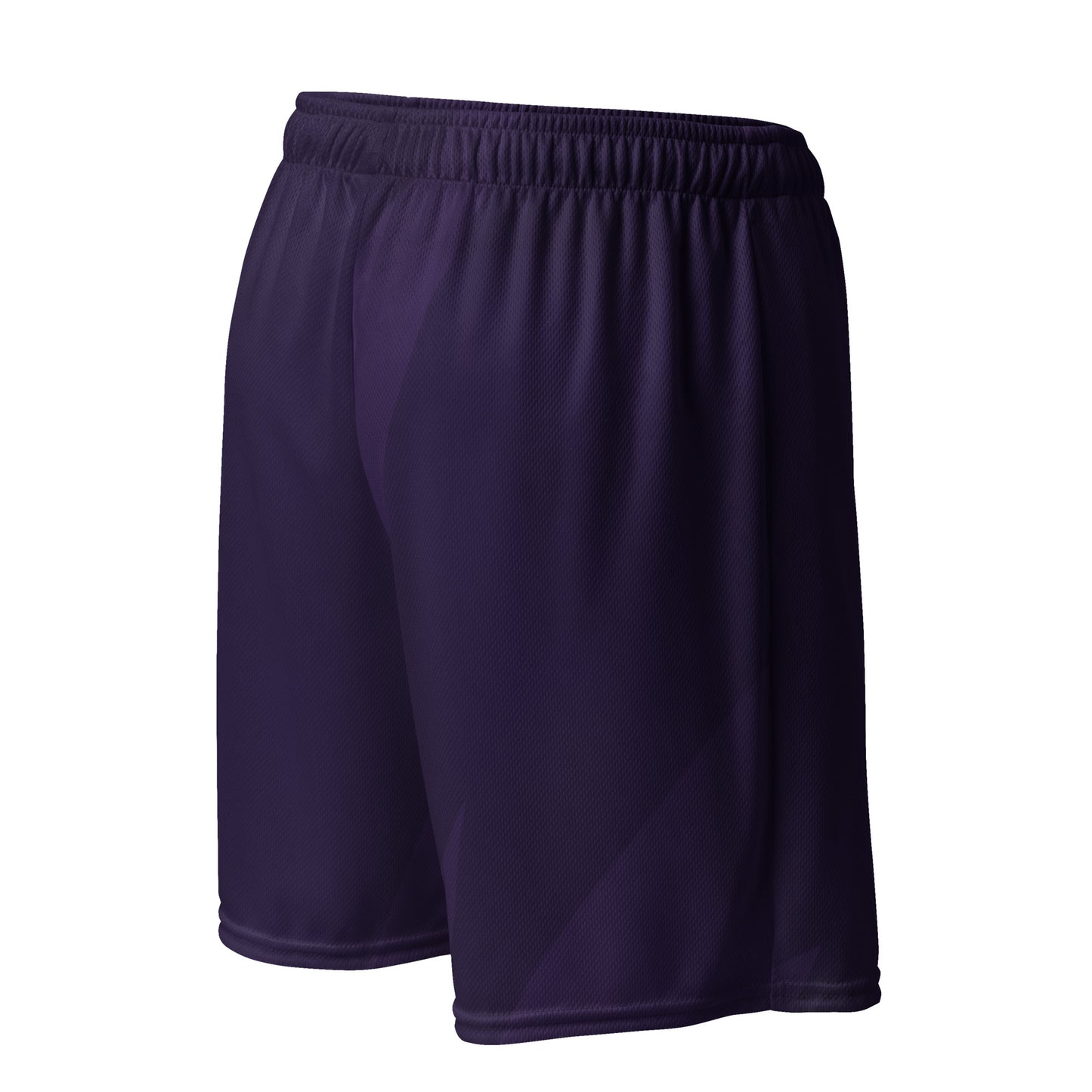 RFS Unisex mesh shorts