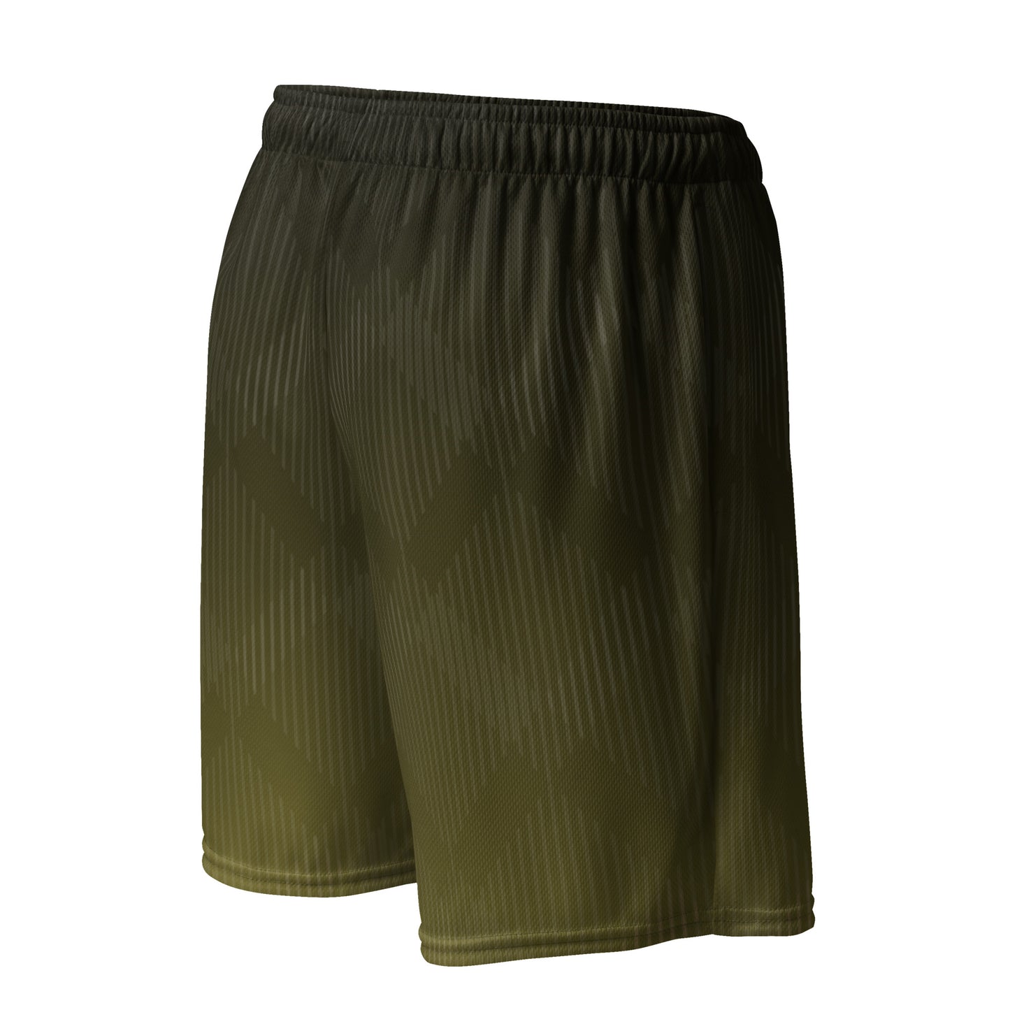 Olympros Fitness Classic Unisex mesh shorts